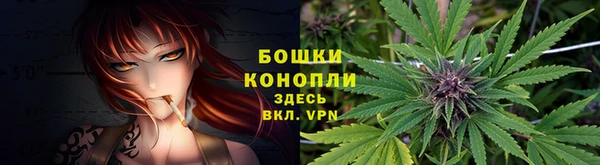 ешки Протвино