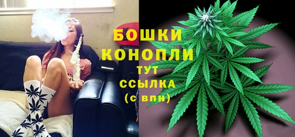 ешки Протвино