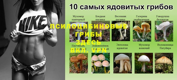 эйфоретик Абаза
